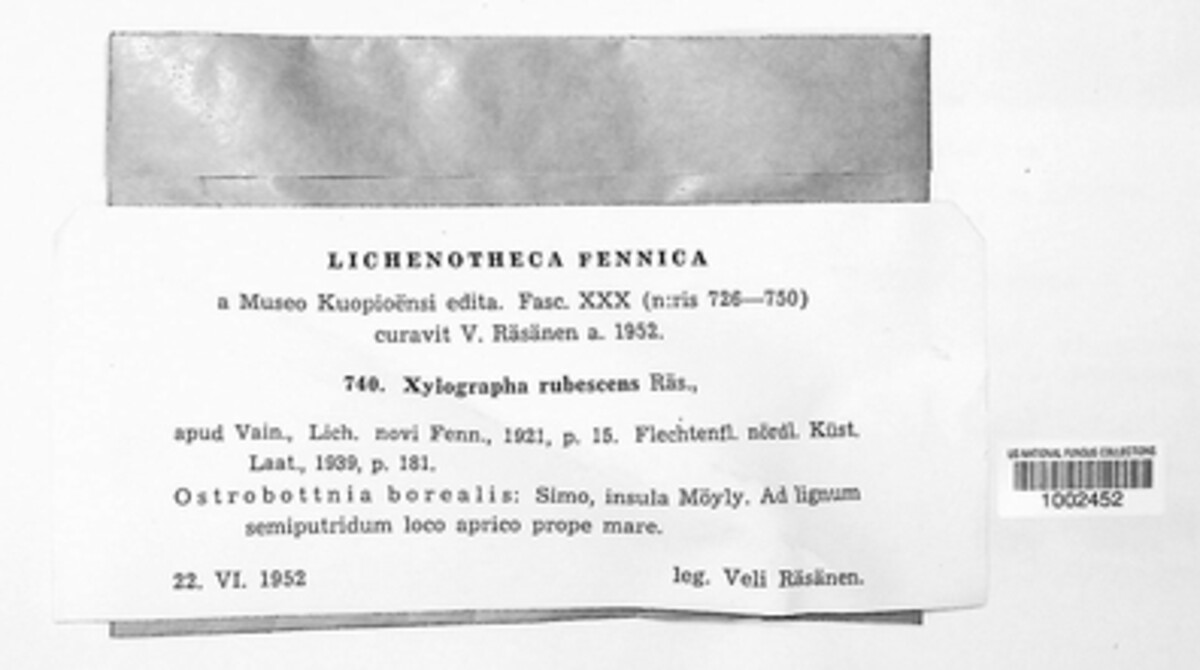 Xylographa image